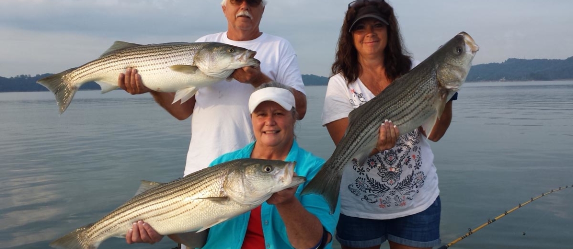 Your Fishing Guide Jay's Bass Striper Guide Service provides excellent