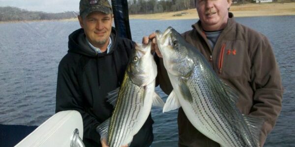 Capt'n Jay Fishing Tour Guide Cherokee Lake Tennessee