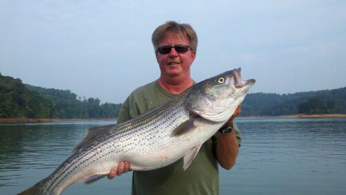 Capt'n Jay Fishing Tour Guide Monster Fishing Tennessee