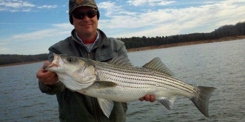 Take a Great Fishing Trip Tennessee Monster Striper Bass