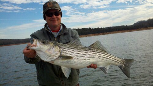 Doug & Ezell – Cherokee Lake | Jay's Striper Guide Service