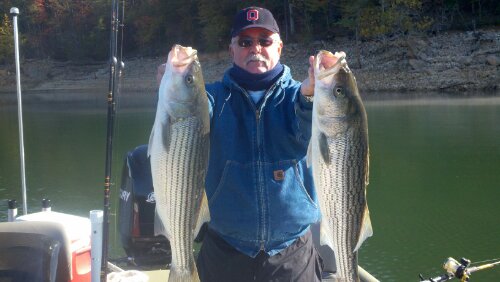 Norris lake striper fishing Oct- 22 - 23. Fantastic weekend fishing trip with these guys