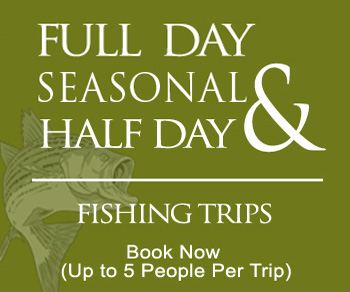 Jay's Fishing Guide Trips - Seasonal Full and Half Day Fishing Trips
