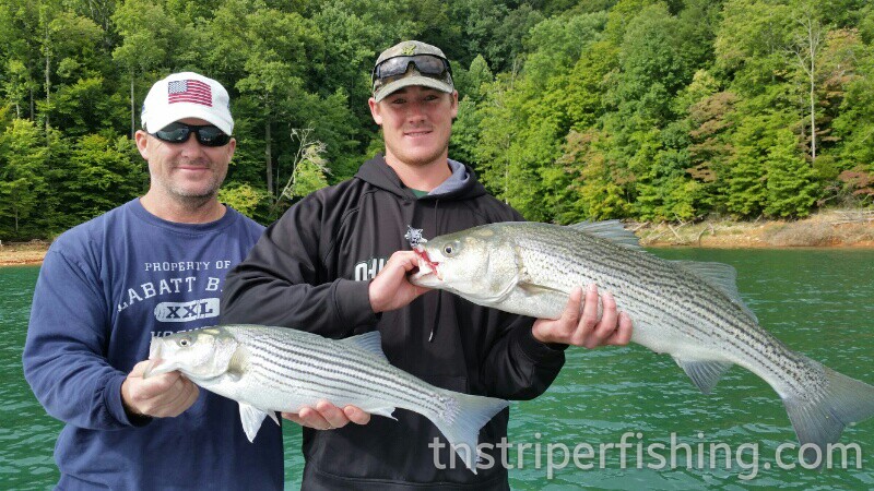 Tennessee Striper Fishing Guide Charter Services Captn Jay Lake Cherokee Norris Lake Watts Barm