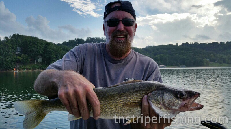 Tennessee Striper Fishing Guide Charter Services Captn Jay Lake Cherokee Norris Lake Watts Bar