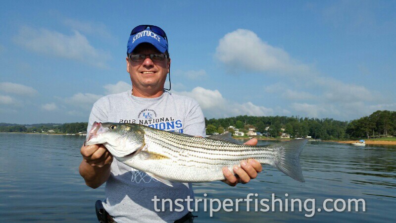 Tennessee Striper Fishing Guide Charter Services Capt'n Jay Lake Cherokee Guided fishing experience for catching bass and walleye