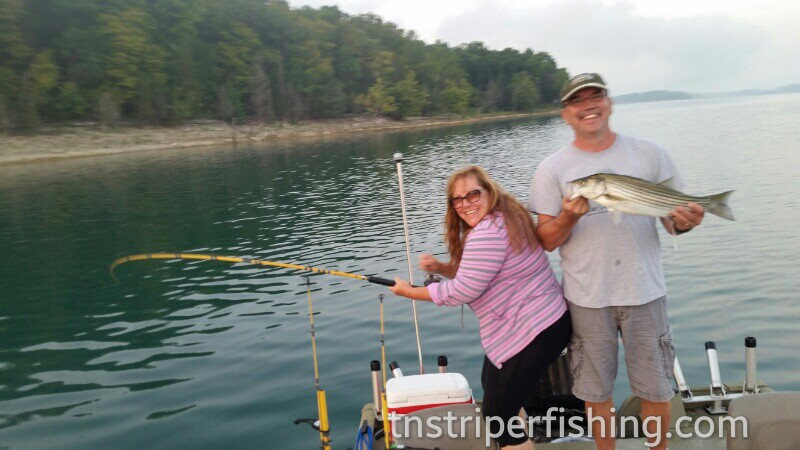 Tennessee Lakes Cherokee Lake Norris Lake Fishing Guide Service