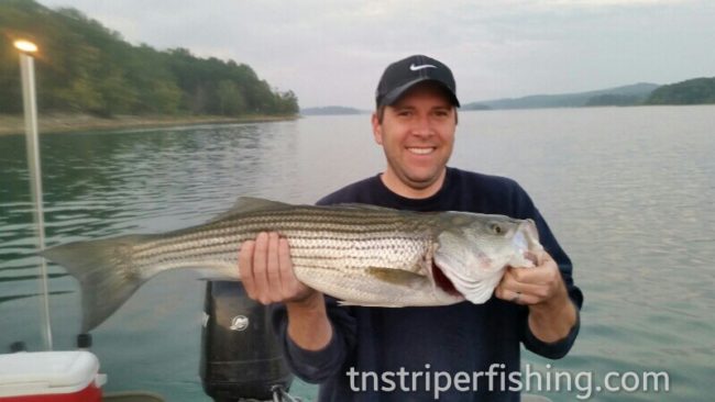 Tennessee Lakes Cherokee Lake Norris Lake Fishing Guide Service